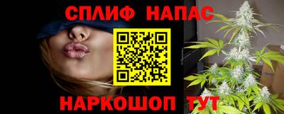 Альфа ПВП Ивантеевка