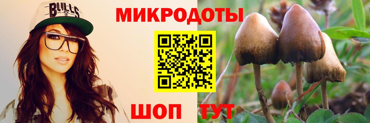 Псилоцибиновые грибы мицелий Прохладный